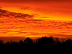 Sunset over Master Park, Oxted, december 2017d