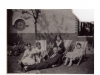 Con & Olive Bradbury, Sydney Steeper, Mabel Bradbury, Sis Steeper, Liverpool 1930s